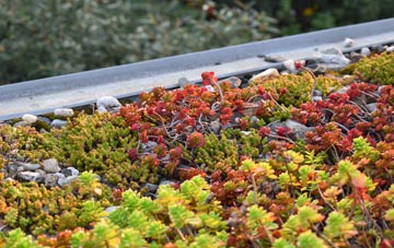 the cost of Kexbrough green roof installation
